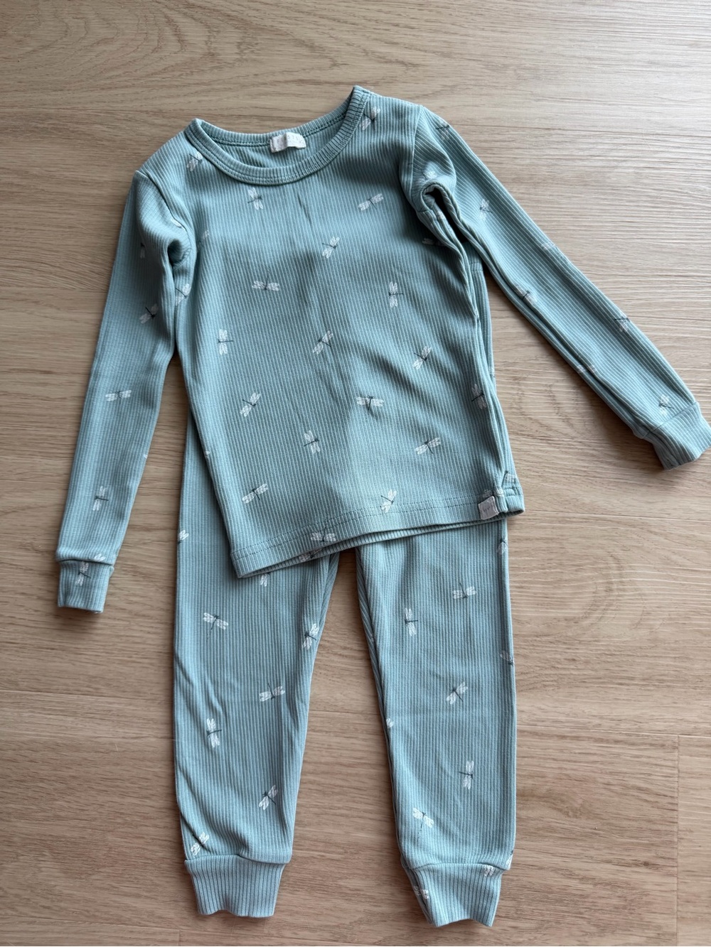 Petit Lem Dragonflies PJ 24Mo